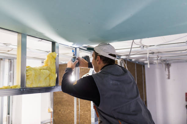 Best Insulation Replacement Services  in Vla Park, IL