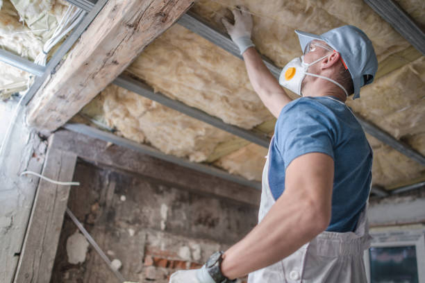 Professional Insulation Contractor in Villa Park, IL