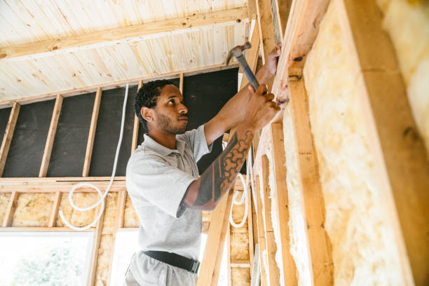Best Wall Insulation Contractor  in Vla Park, IL