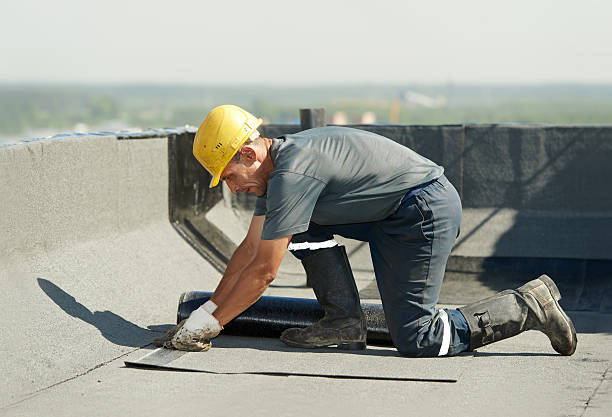 Best Spray Foam Insulation  in Vla Park, IL