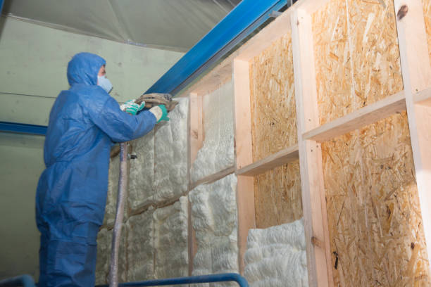 Professional Insulation Contractor in Villa Park, IL