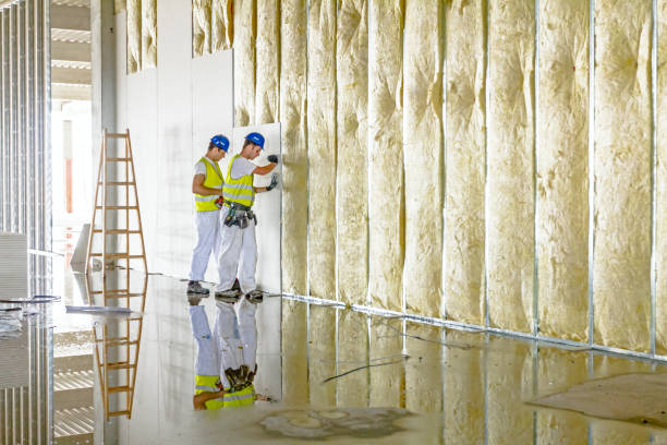 Best Residential Insulation Services  in Vla Park, IL